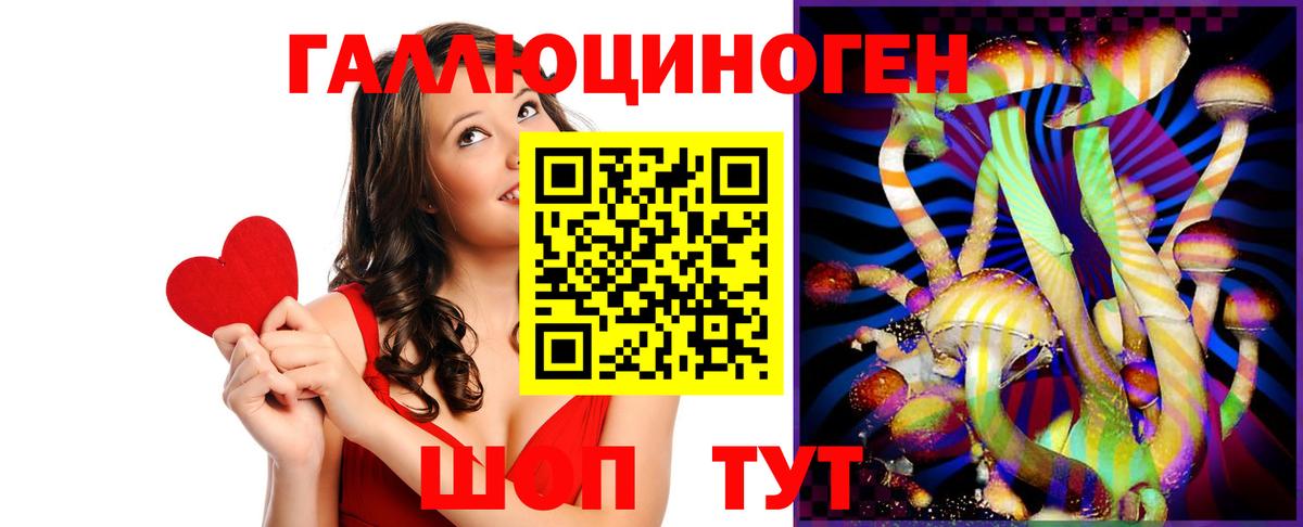 Псилоцибиновые грибы Cubensis  Вход с VPN  Урус-Мартан 